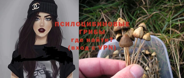 прущая мука Дмитровск