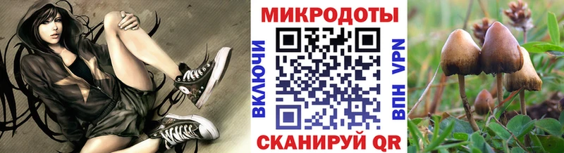 Галлюциногенные грибы мухоморы  цены   сайты даркнета состав  Омутнинск 
